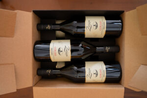 FRIULANO - immagine 4